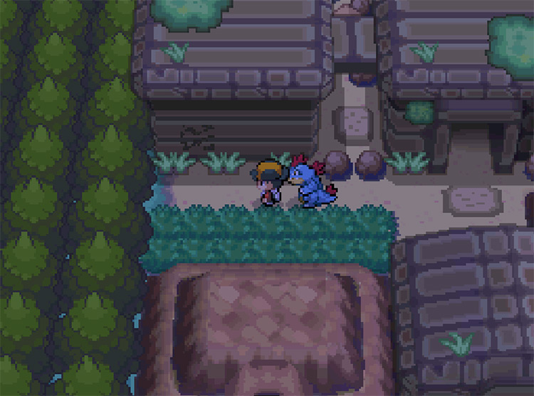 This grassy area contains both Smeargle and Natu / Pokemon HGSS