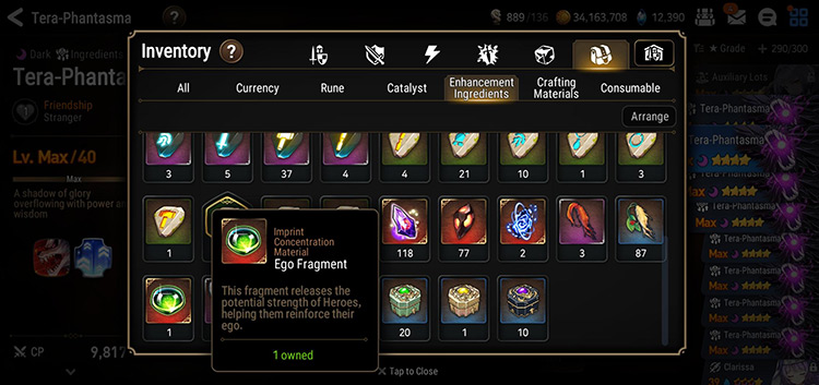 Ego Fragment (Inventory Page) / Epic Seven