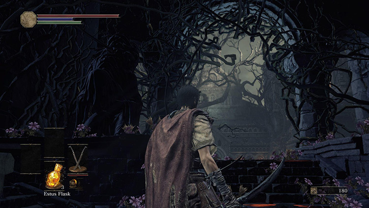 The entrance to the Curse-rotted Greatwood arena / DS3