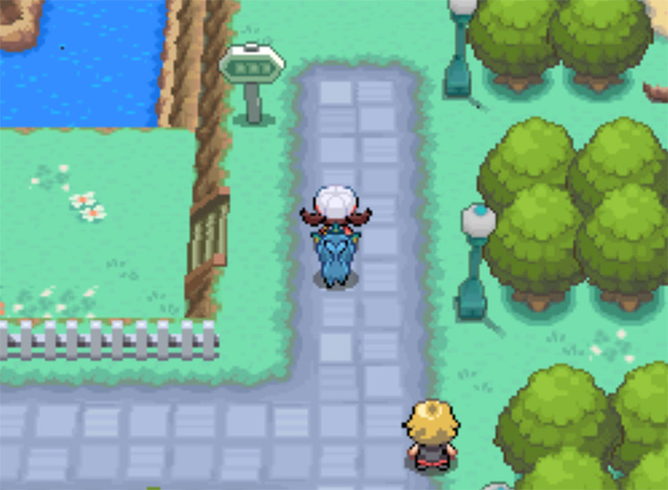 The north exit of Cerulean City, which leads to Route 24 / Pokémon HG/SS