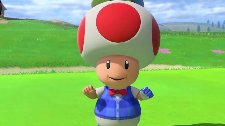 Toad from Super Mario Series