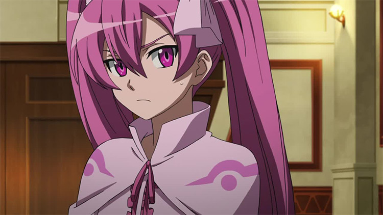 The Best Akame ga Kill  Waifus  Ranked   FandomSpot - 30