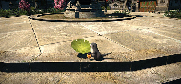 Odder Otter removes its hat to get a better look at the Doman Enclave