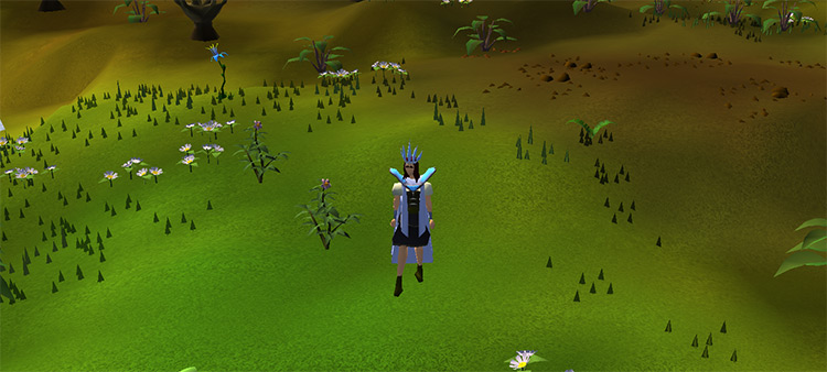 Showing the hat from 1000 kills / Old School RuneScape