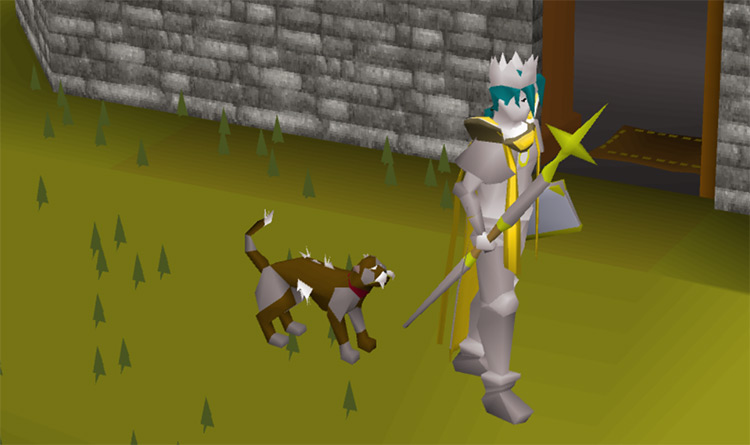 A player-owned cat / Old School RuneScape