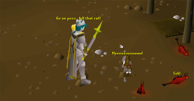 Time to chase rats! / Old School RuneScape