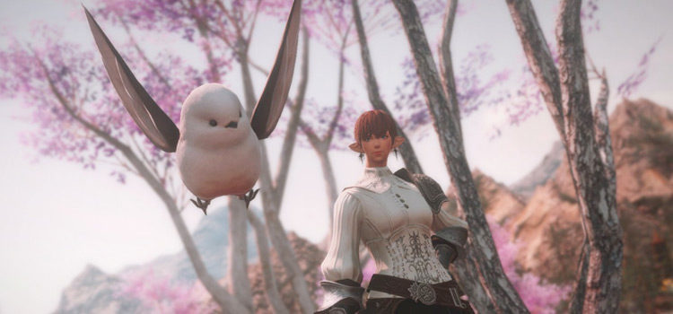 FFXIV: How To Get The Silver Dasher Minion