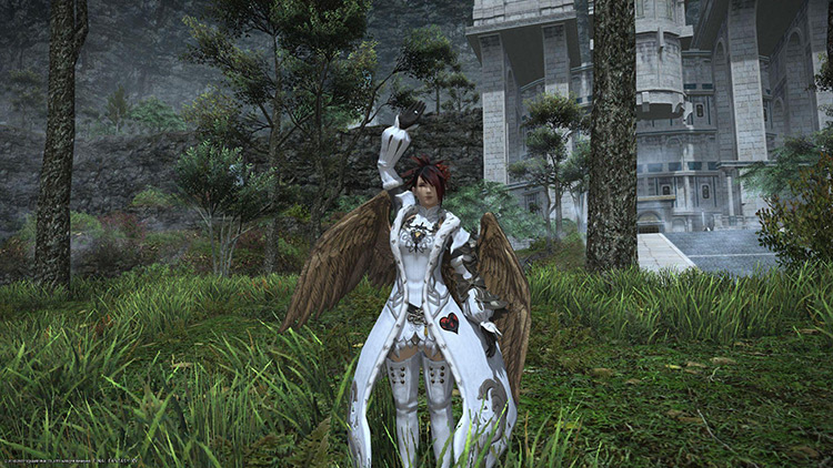 If you’re lucky enough you can even take some wings home with you / Final Fantasy XIV