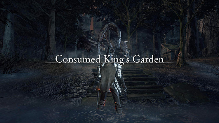 The entrance to the Consumed King’s Garden, found at the bottom of the elevator tower / Dark Souls III