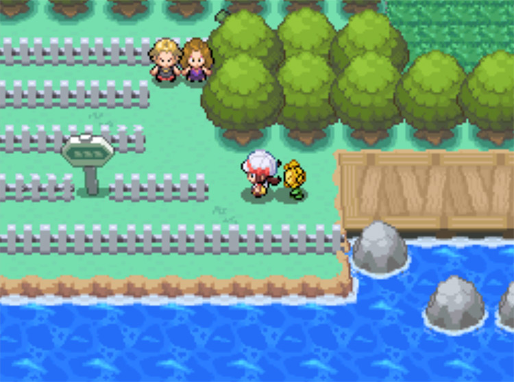 The start of Route 13 / Pokemon HGSS