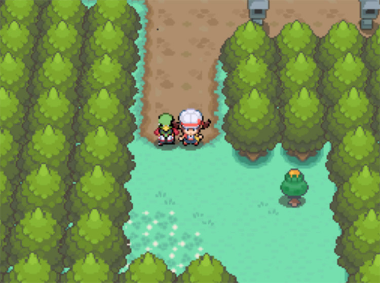 The way to Route 32 from Violet City / Pokemon HGSS