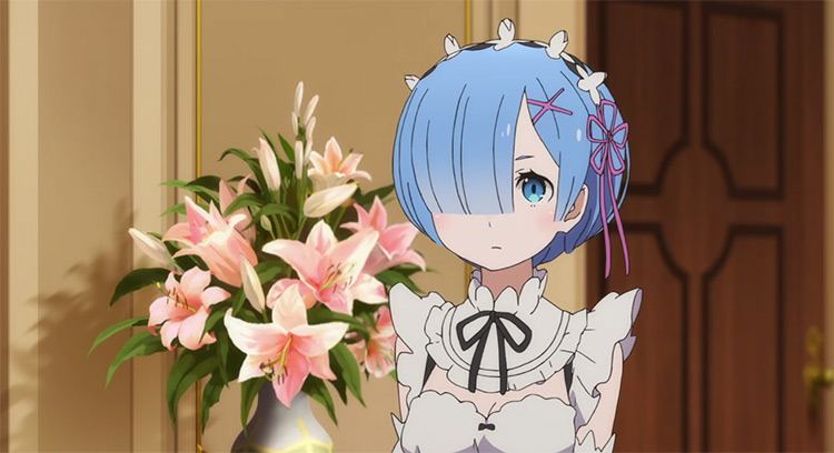 Rem from Re: Zero anime