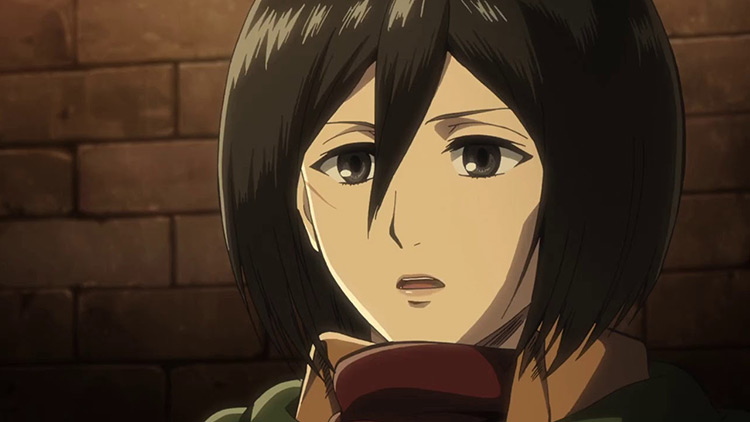 Mikasa Ackerman from Attack on Titan anime