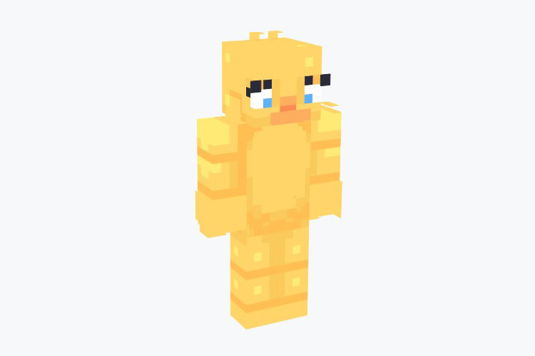 Rubber Ducky Minecraft Skin