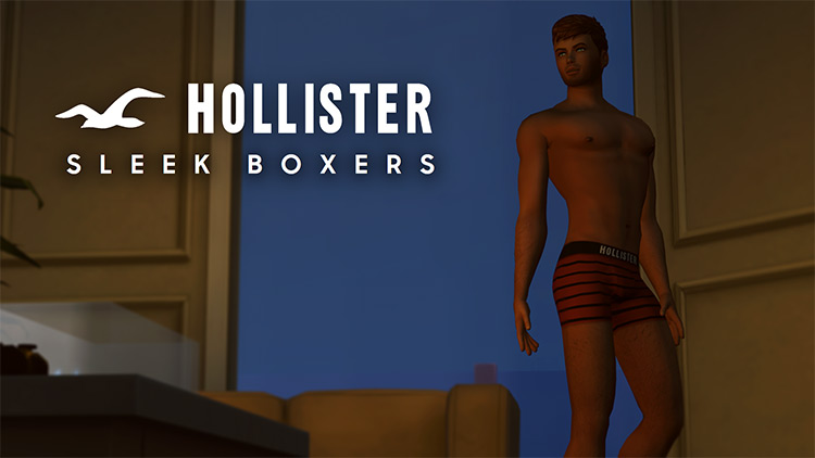 Hollister Underwear by littledica TS4 CC