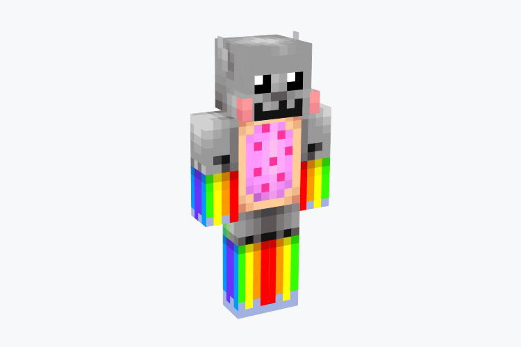 Nyan Cat Skin For Minecraft