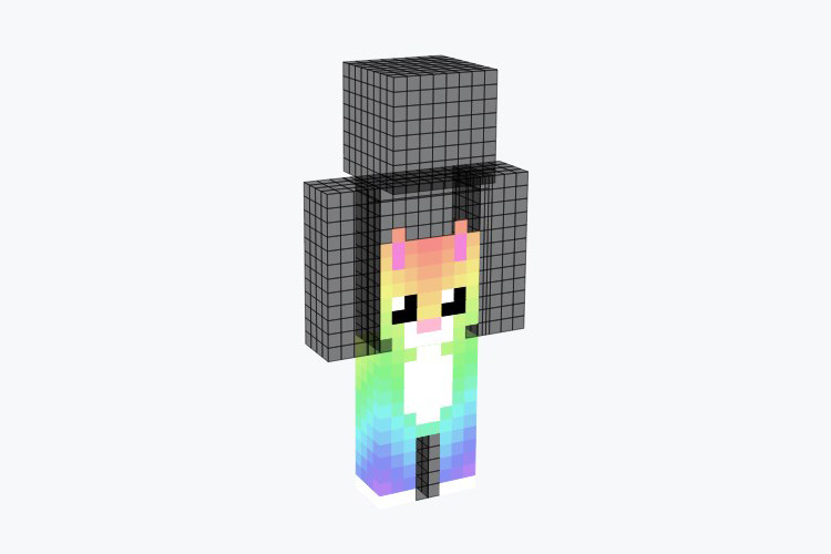 Rainbow Cat Skin For Minecraft