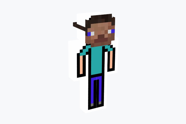 Totally, Definitely Steve Minecraft Skin