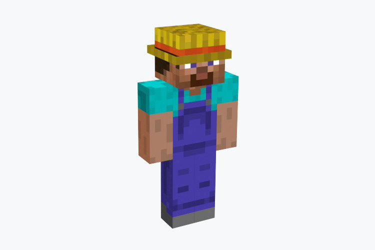 Farmer Steve Minecraft Skin