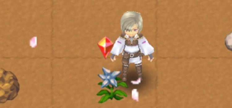 RF4 Rune Flowers: What They Do & Where To Get Them