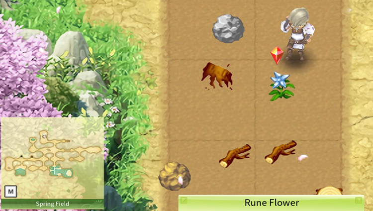 A Rune Flower in Spring Field / Rune Factory 4