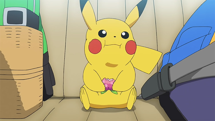 Pikachu from Pokémon Series