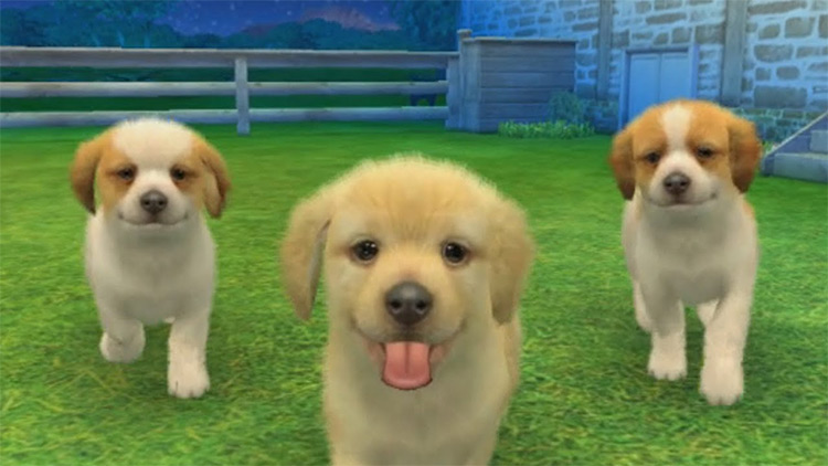 Dogs from Nintendogs