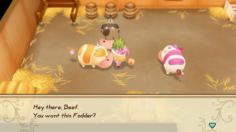 The farmer hand feeds a fruit cow with fodder from the silo. / SoS:FoMT