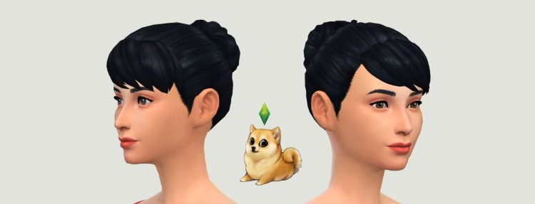 Girl Next Door Bun for Sims 4