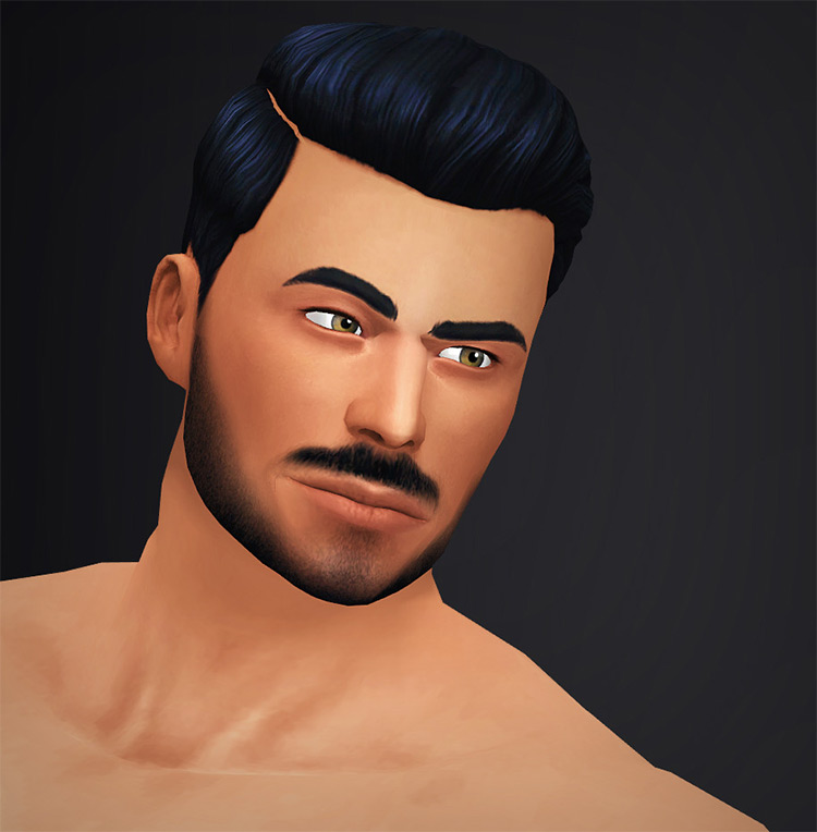 The Pathfinder Hair TS4 CC