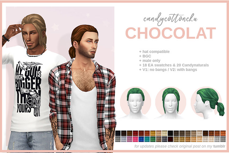 Chocolat Hair (Male) for Sims 4