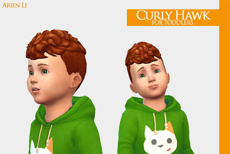 Curly Hawk for Toddlers TS4 CC