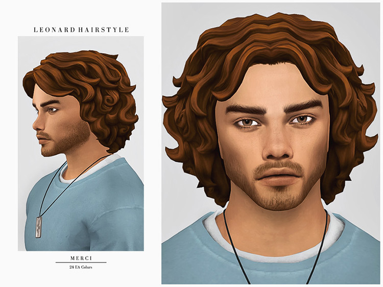 Leonard Hairstyle for Sims 4