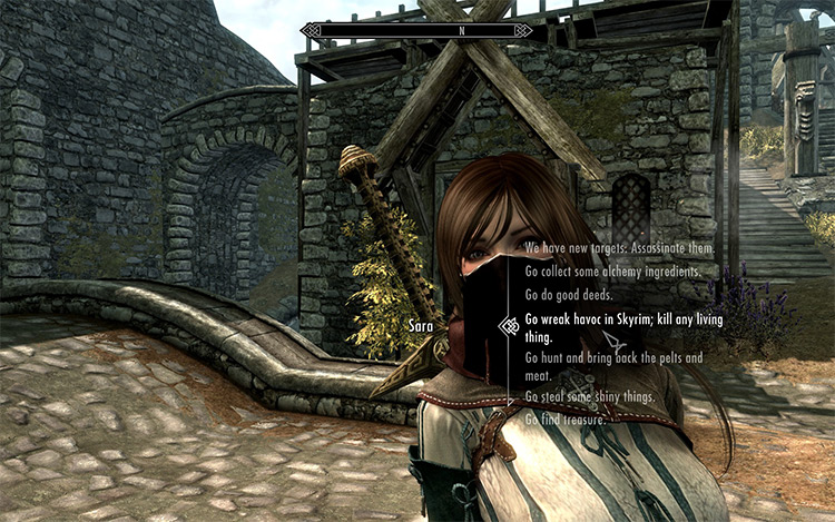 Sokco’s Guild Starter Skyrim mod