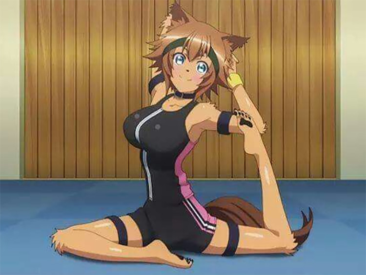 20 Best Anime Wolf   Dog Girl Characters   FandomSpot - 41