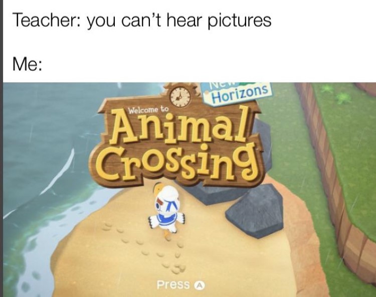 Cant hear pictures Animal Crossing