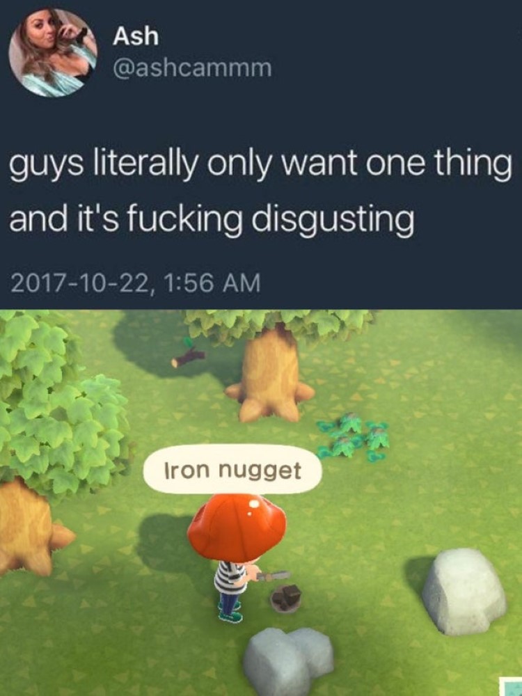 Guys only want iron nugget animal crossing