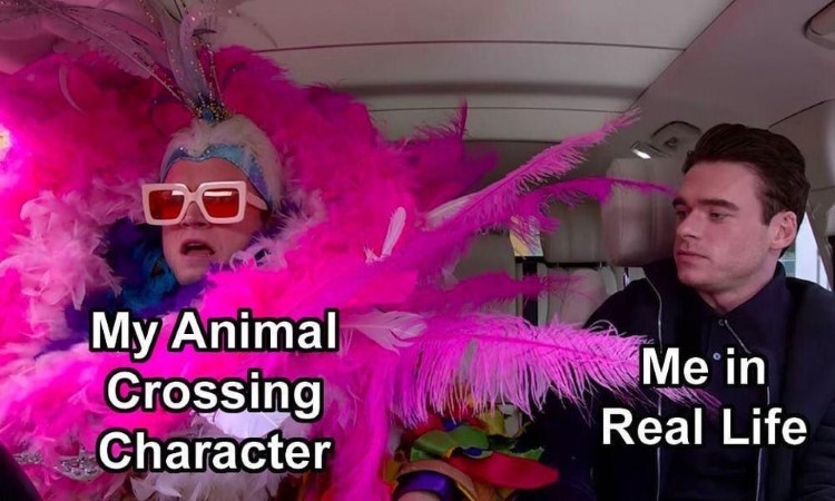 Goofy animal crossing dressup meme
