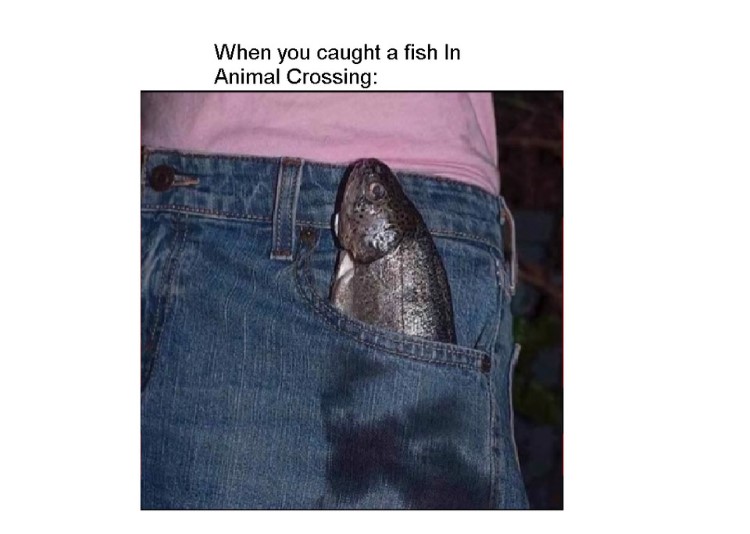 Fish in pocket meme