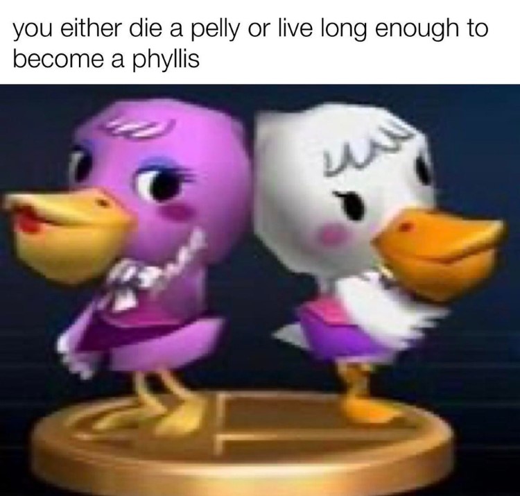 Die a Pelly or live a Phyllis