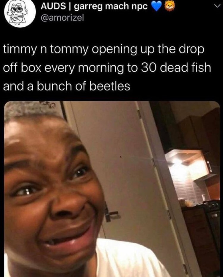 Timmy and Tommy scared face joke