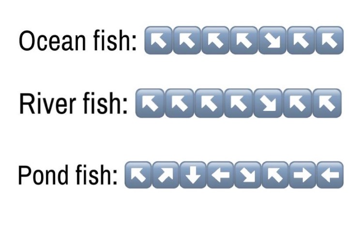 Fish swimming directions meme
