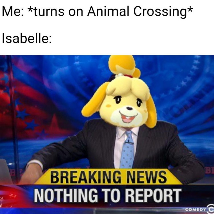 Breaking news Isabelle meme