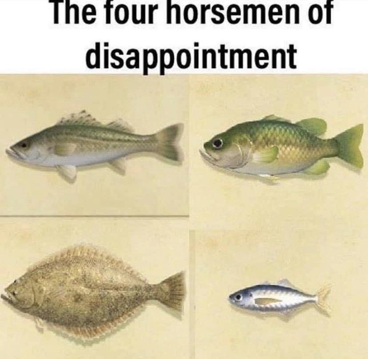 Disappointing fish AC