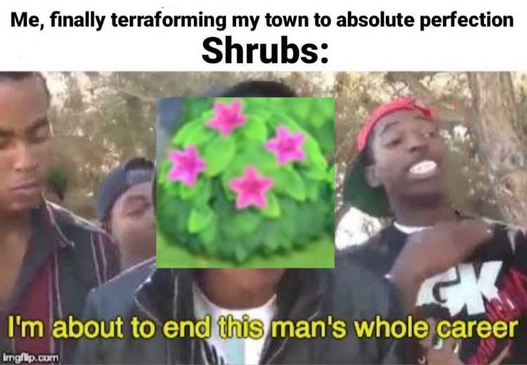 AC shrubs about to end career meme