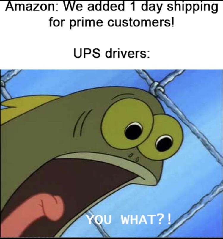 Amazon UPS You What meme