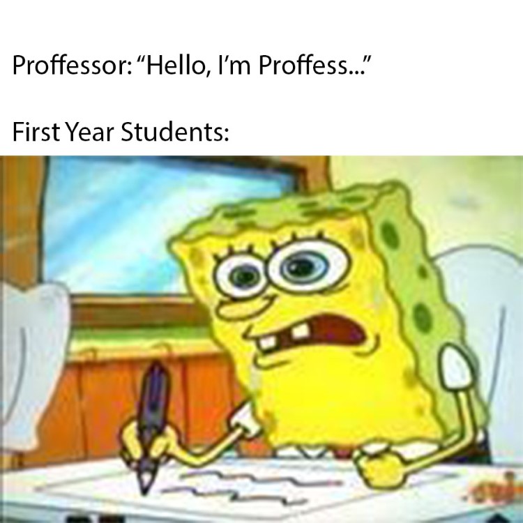 First year students nervous meme
