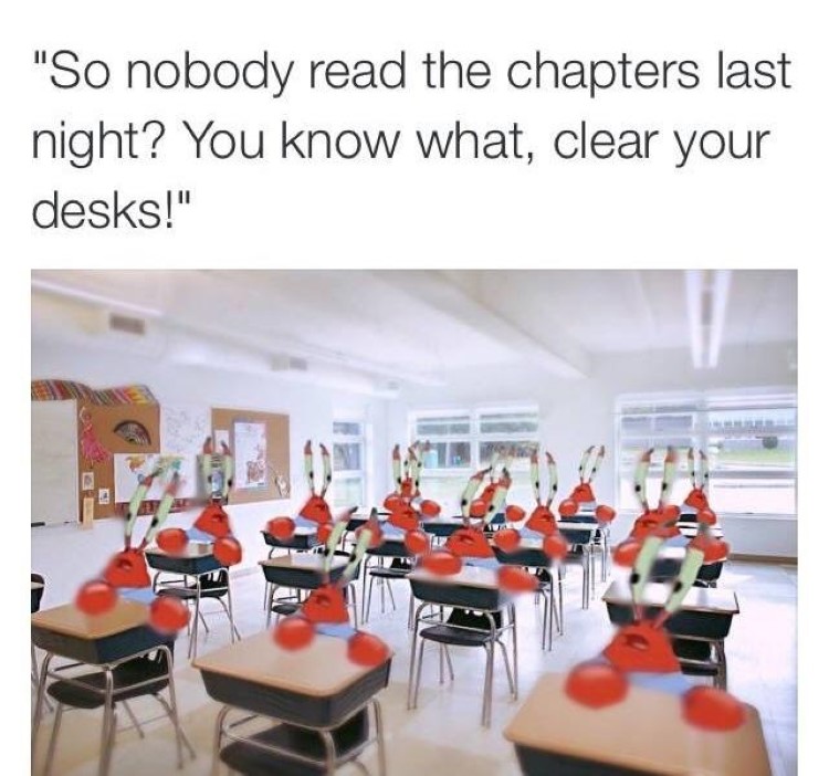 Nobody read the chapters meme