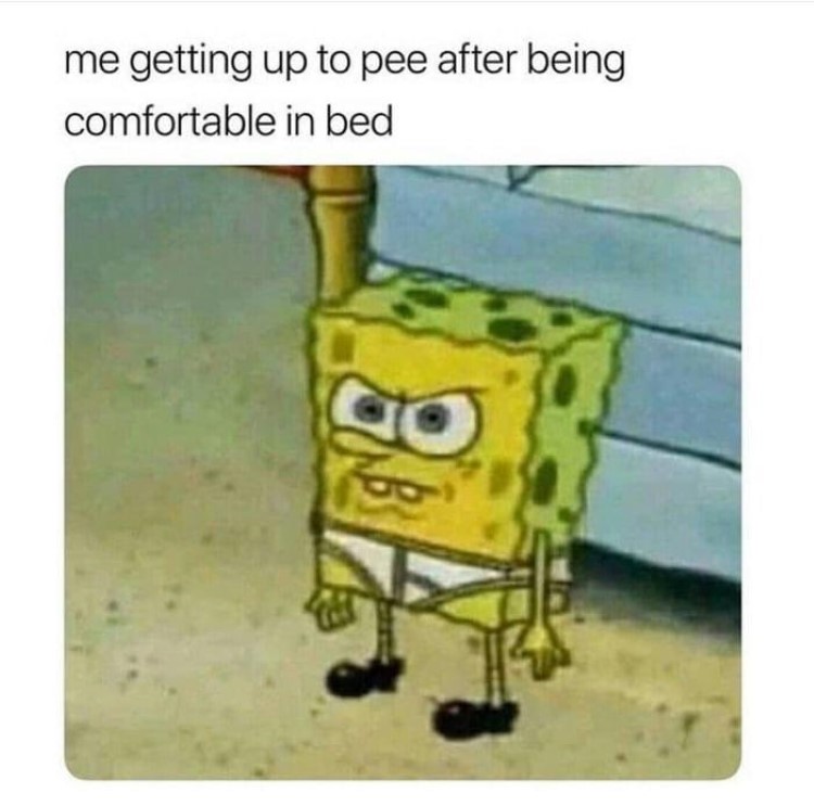 Getting up to pee meme