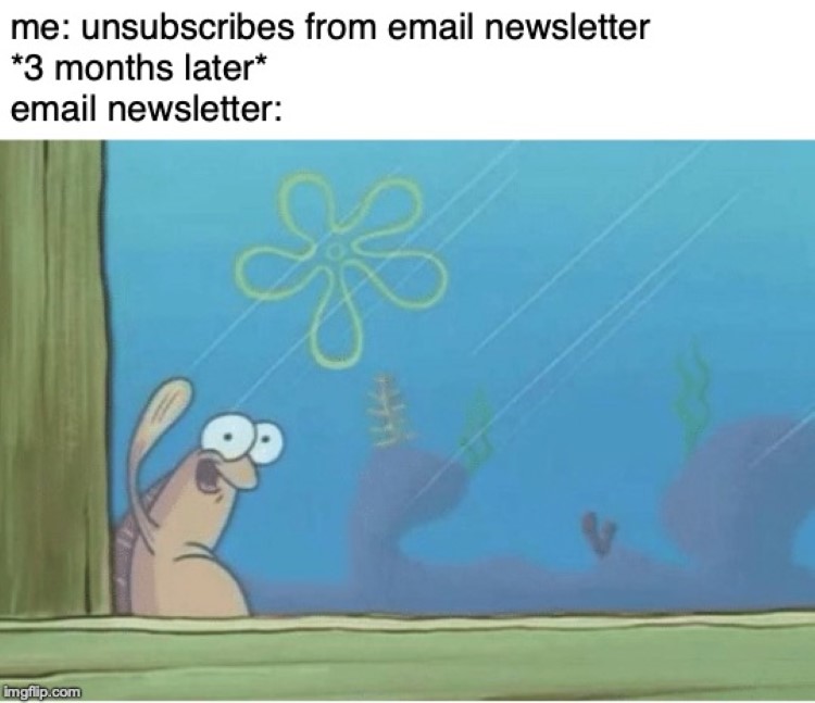 Unsubscribes from newsletter meme